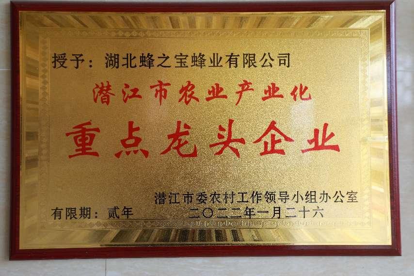 重點(diǎn)龍頭企業(yè)